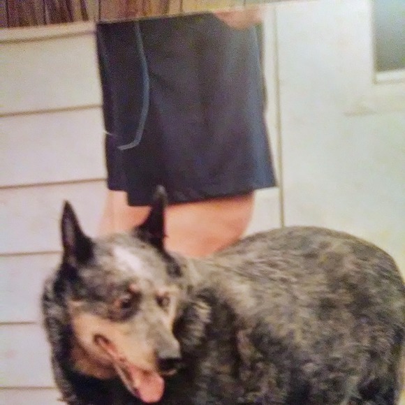 Meet your Posher, Bev - Picture 1 of 1